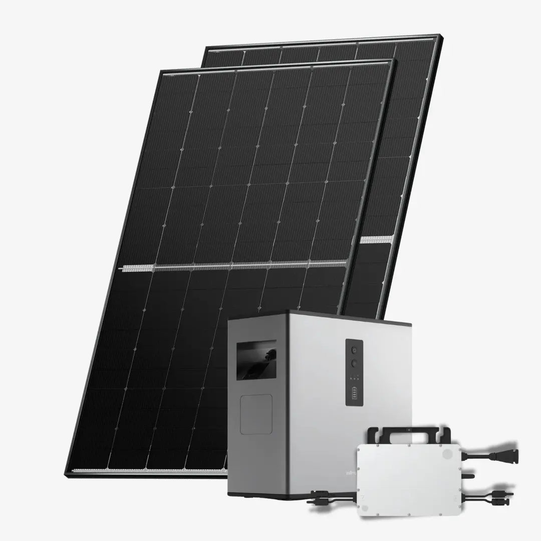 Zwei Solarmodule 800 Watt mit Hoymiles MS-A2 Stromspeicher und HMS-800W 2 T Wechselrichter